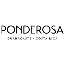 Ponderosa